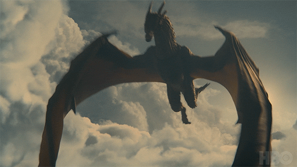 What do you consider your true spirit animal and why?