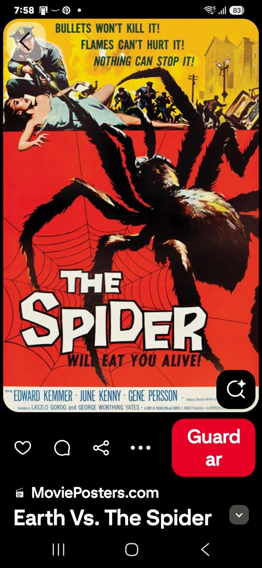 Are you afraid of spiders, and if so, why?