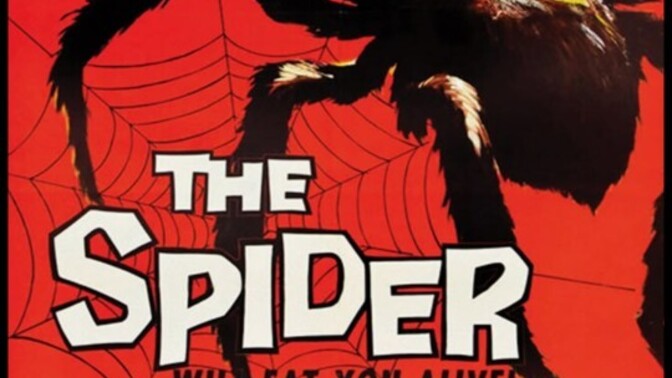 Are you afraid of spiders, and if so, why?