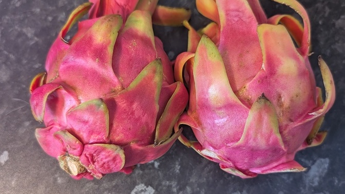 What do you think of the dragon fruit 🍓 I grew in my garden?