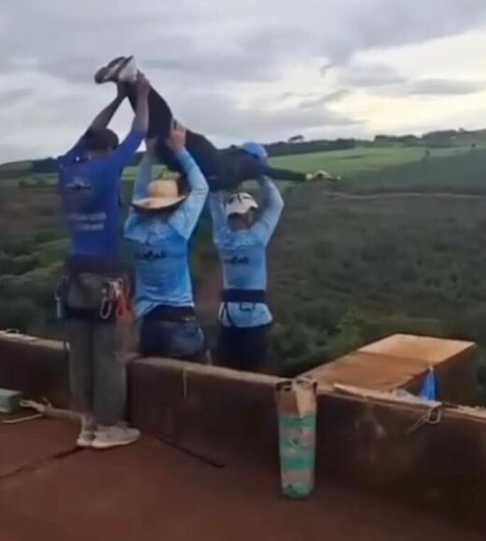 Who should be held responsible for this fatal bungee accident?