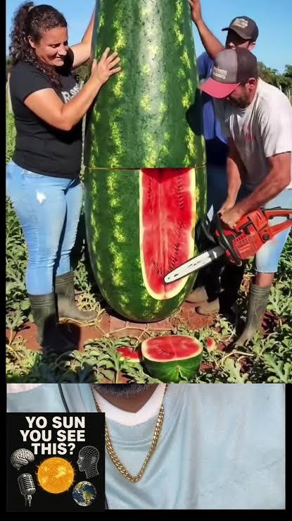 How much watermelon do you eat during the summer?