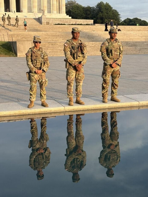 If the DC reflecting pool is killing ducks, what should replace it?