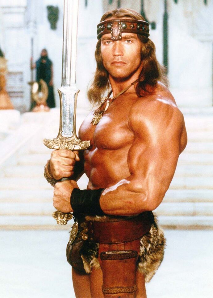 Which of these bare chested buff barbarian dudes from the 80s do you like the look of most?