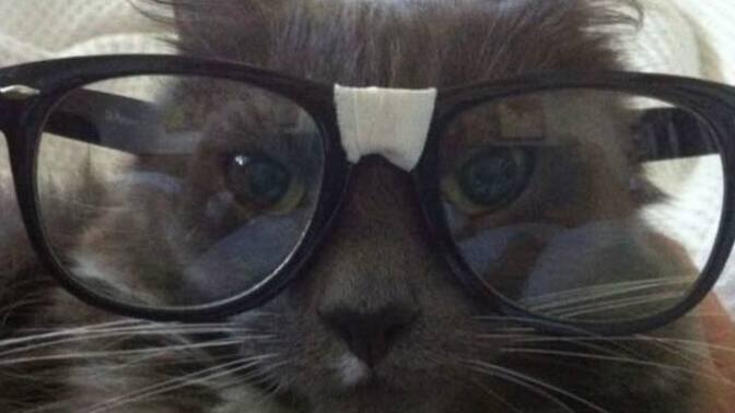 Do you wear glasses?
