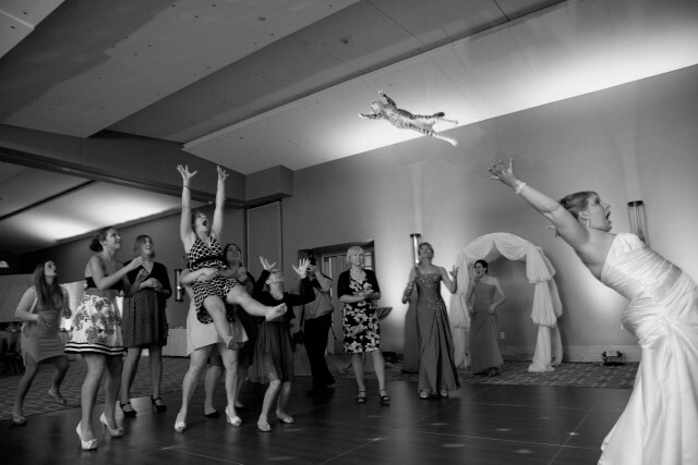 Is cat tossing at weddings cruel?