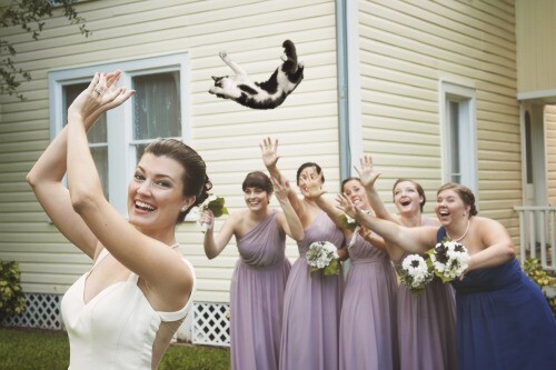 Is cat tossing at weddings cruel?