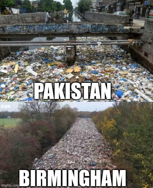 Why do racists say import the 3rd world become the 3rd world?