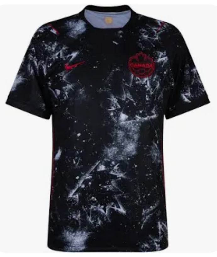 Do You Think The Canadian World Cup Team Are Being Sponsored By Painters And Decorators Lol?