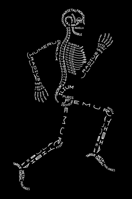 How well do you actually know your BONES?