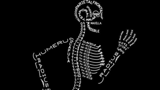 How well do you actually know your BONES?