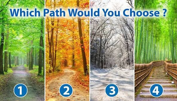 Which path would you choose and why?
