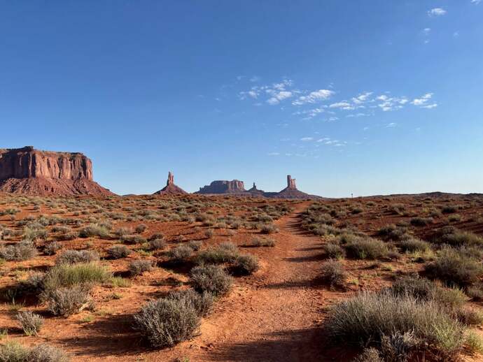 Which path would you choose and why?