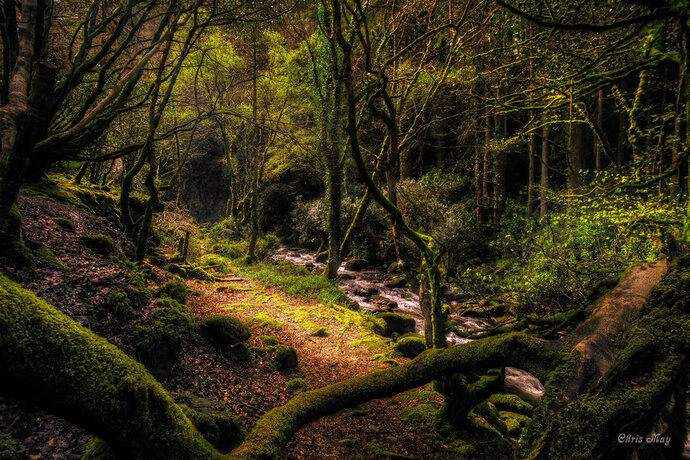 Which path would you choose and why?