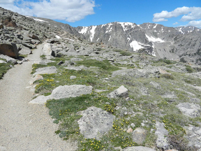 Which path would you choose and why?