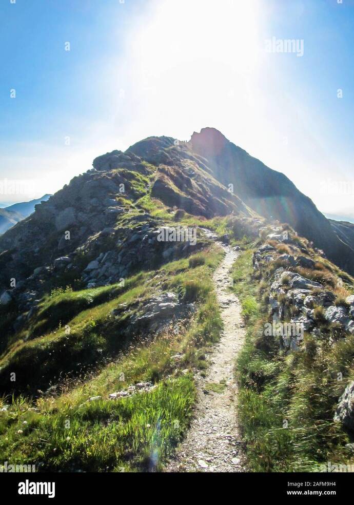 Which path would you choose and why?