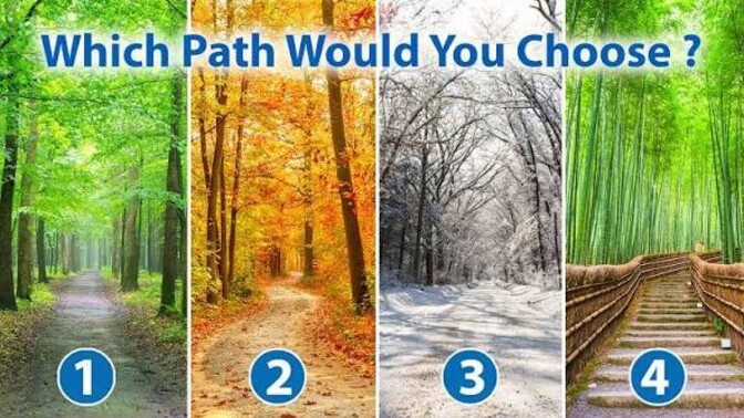 Which path would you choose and why?