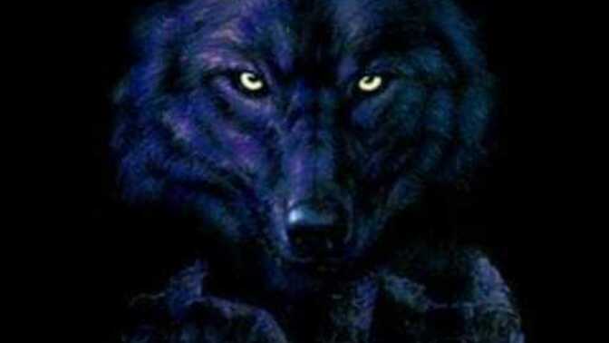 Are you afraid of the big bad wolf?