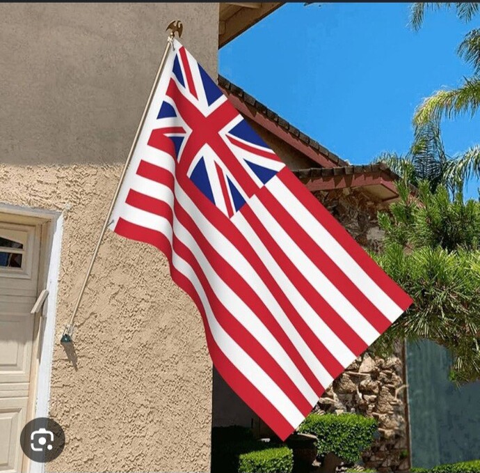 Do you like Americas new flag?