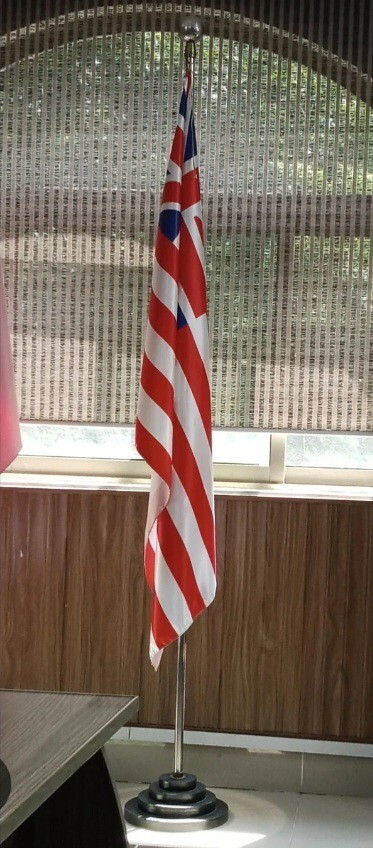 Do you like Americas new flag?