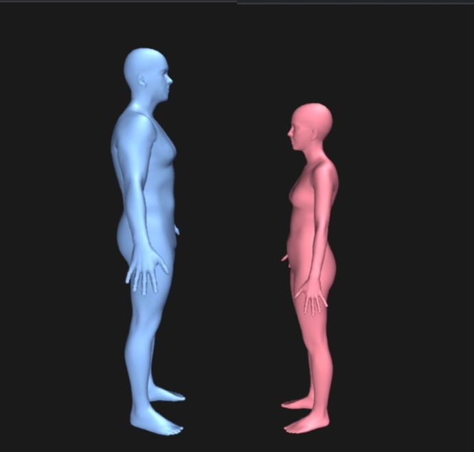 Big Man and Slim Woman
