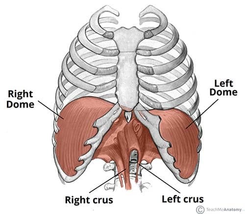 How severe are your asymmetries?