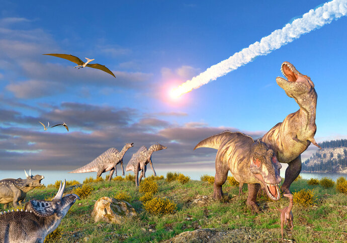 When a kid asks you why the dinosaurs died off what do YOU tell them?