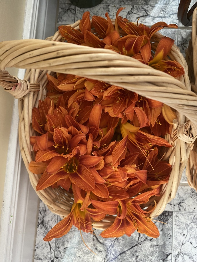 How should I safely eat these stems and orange edible flowers?