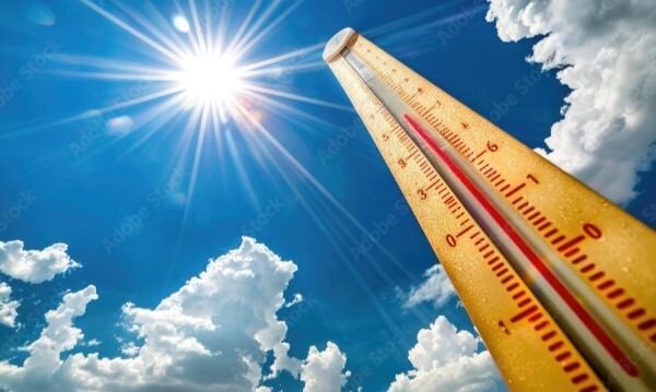 Girls, in extreme summer heat do you prefer skirts, shorts or skorts?