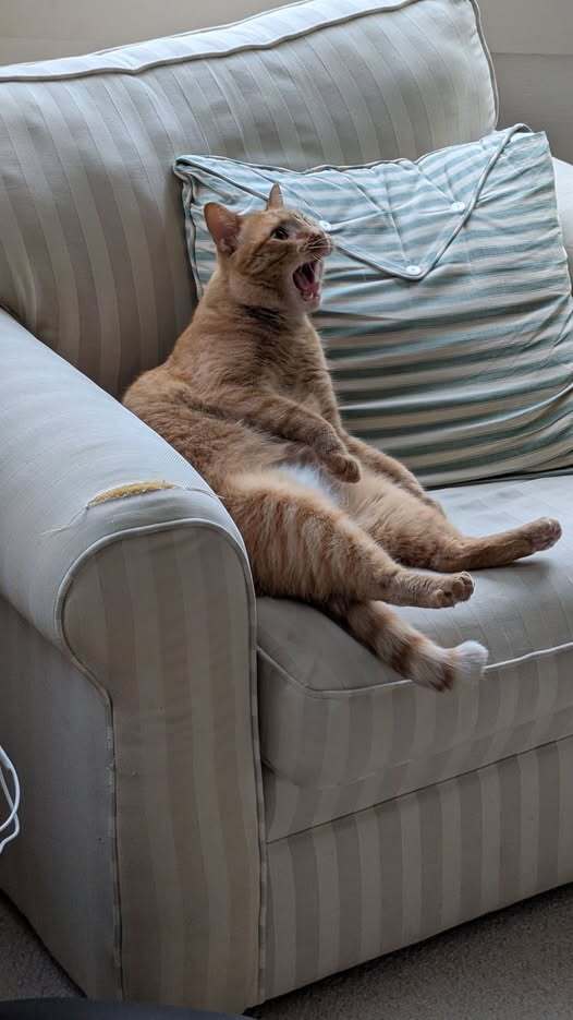 What is he complaining about?