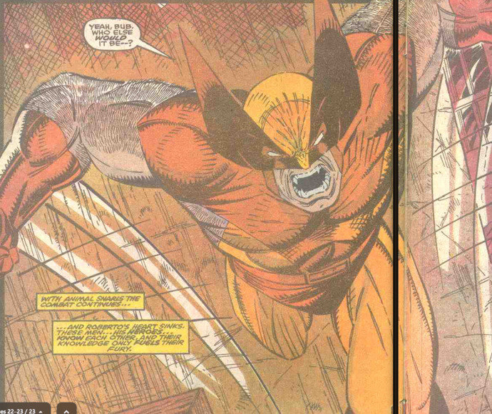 Youre out walking when suddenly a raging Wolverine suddenly charges at you with claws deployed. What do you do?