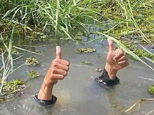 What is your response to someone who asks, Hows life going?