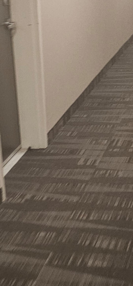 Is this little black device by my neighbor’s door a hidden camera?