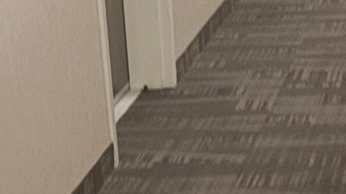 Is this little black device by my neighbor’s door a hidden camera?
