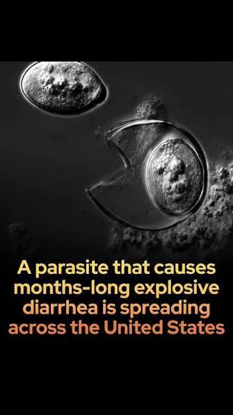 Mexico warns of diarrhea risk when visiting the US. Oh how the tables have turned lmao. What do you guys think of this?