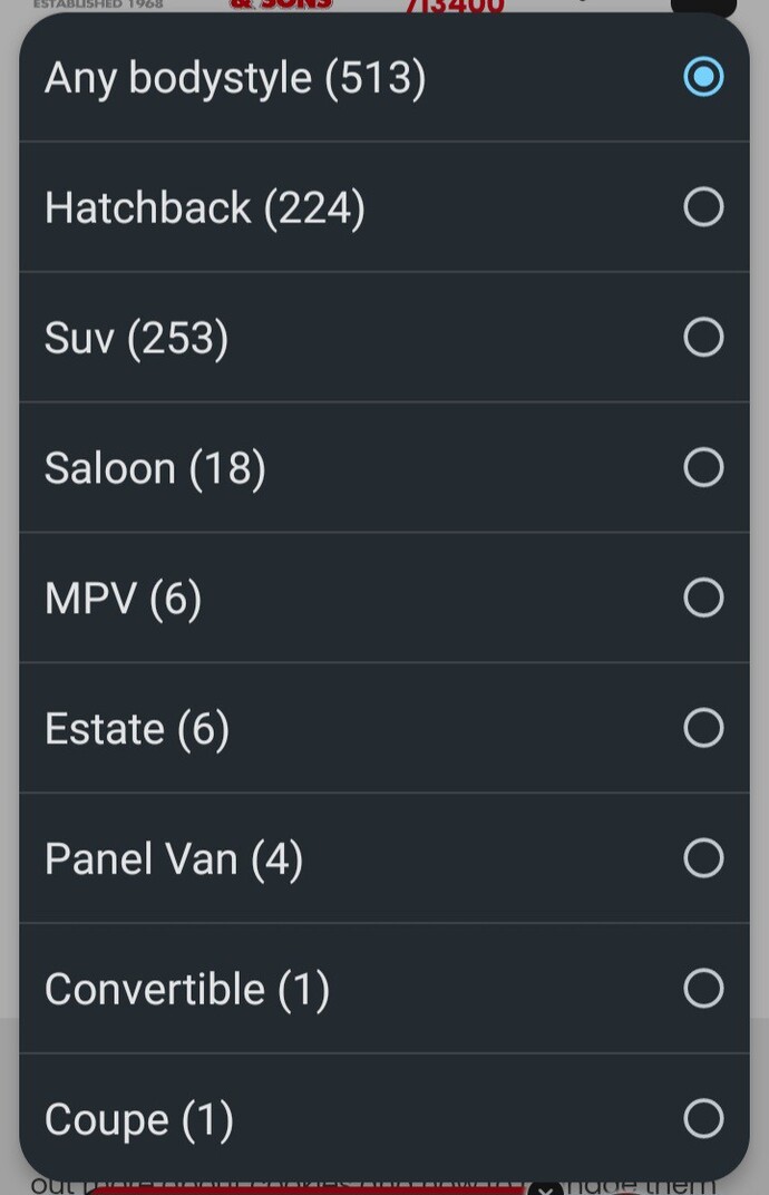 Have you ever ridden in a Station wagon before?