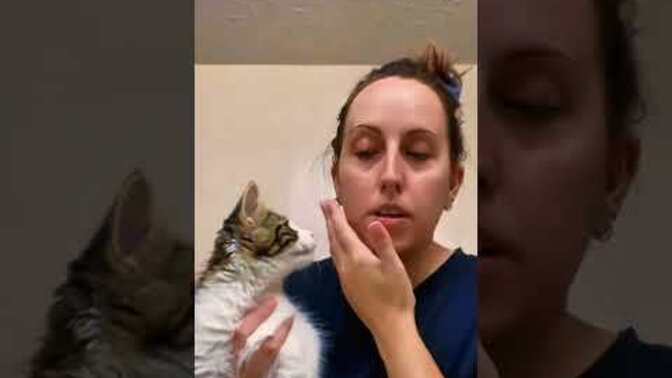 Did You Know That The Word Copycat Is A Real Word?