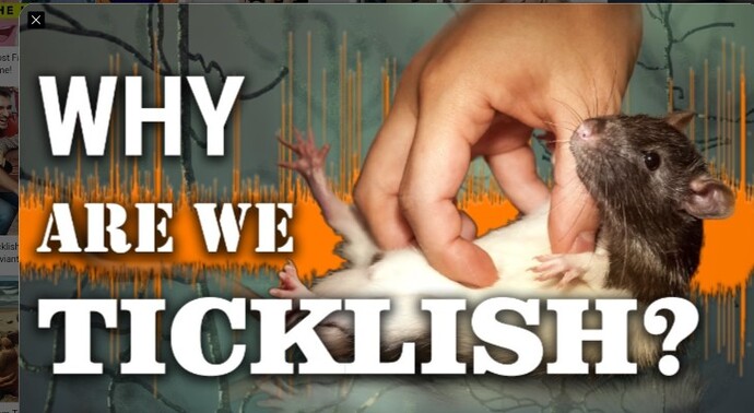 Stupid Sunday question - Are you TICKLISH?