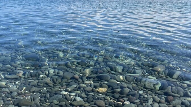What do you think of pebble beaches?