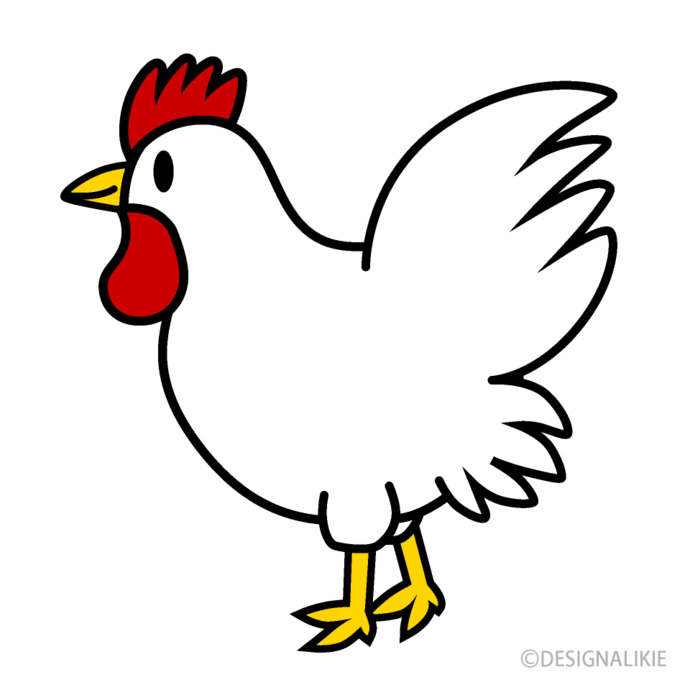 When it comes to chicken, are you a white meat person or a dark meat person?