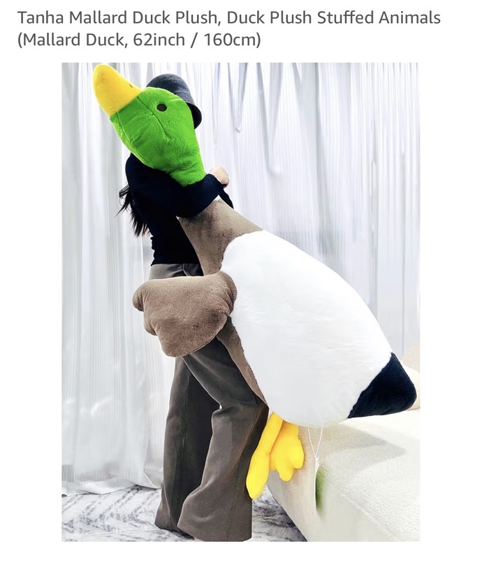 Is it weird to still love stuffed animals as an adult?