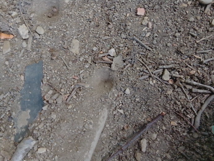 Anybody know what these holes could be from?