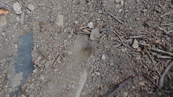 Anybody know what these holes could be from?