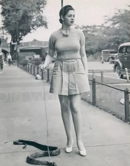 Burlesque Performer Miss Zorita walking her snake