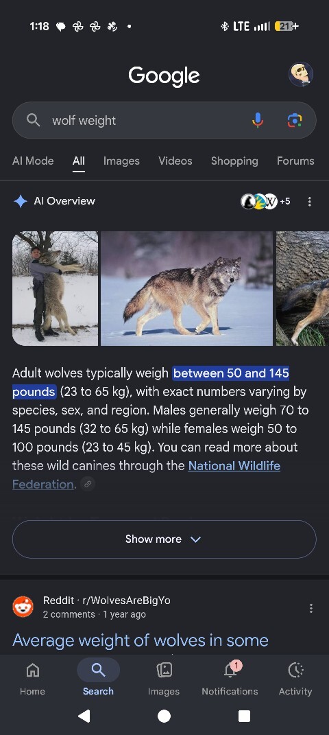 Could a trained 200 lb man really beat a single wolf in a fight?