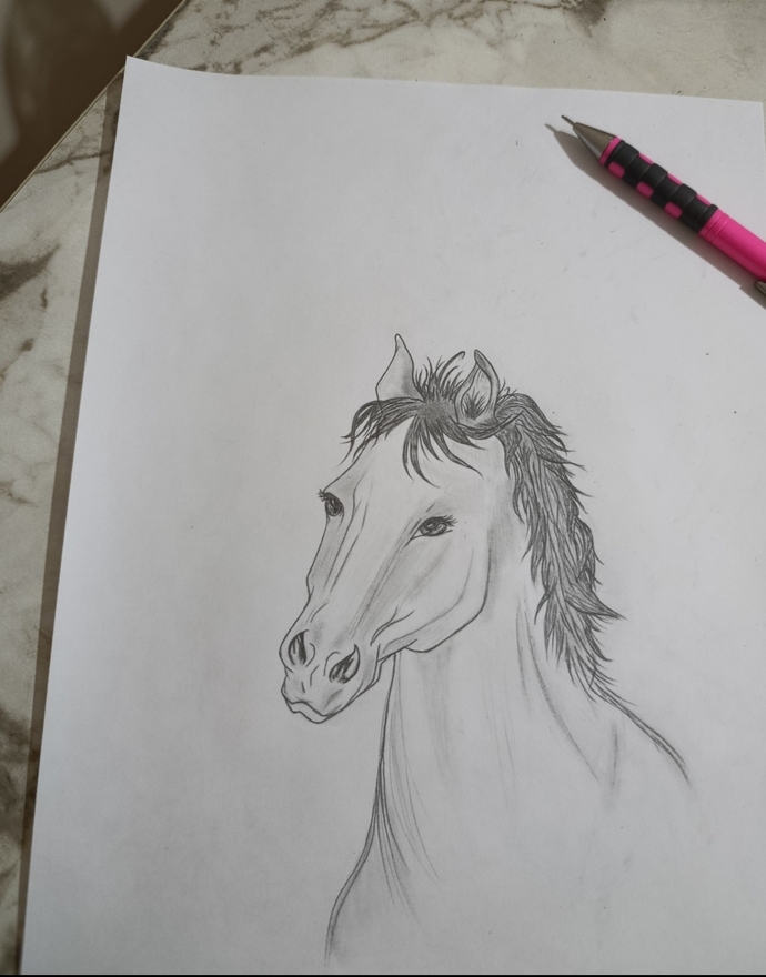 Hi, how does my drawing look?