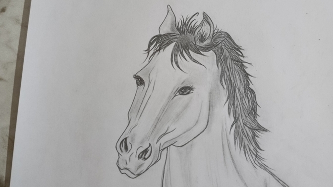 Hi, how does my drawing look?