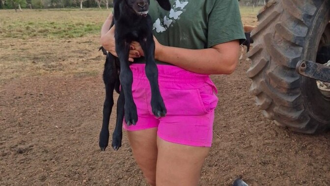 My farm dog and goat are unexpectedly best friends 😂 anyone else?