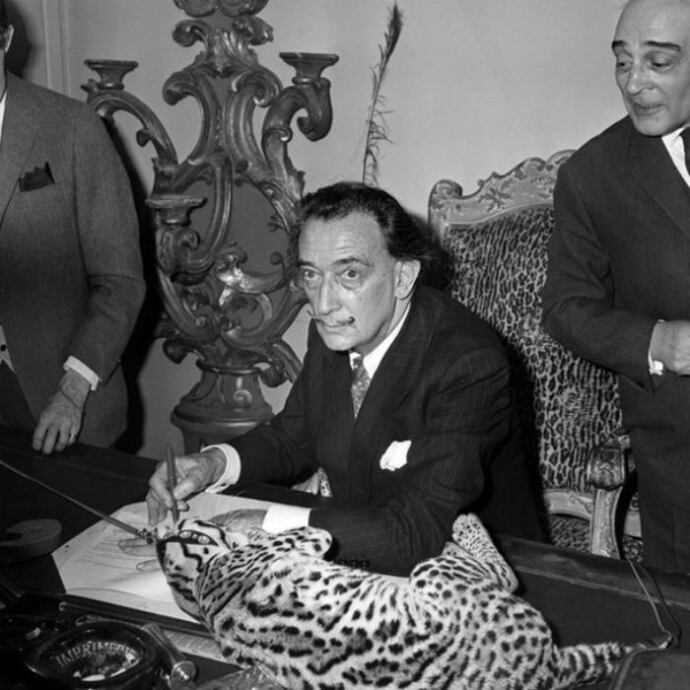 How do you personally feel about Salvador Dalí’s art and style?