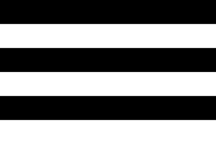 What do you honestly think about the straight pride flag?